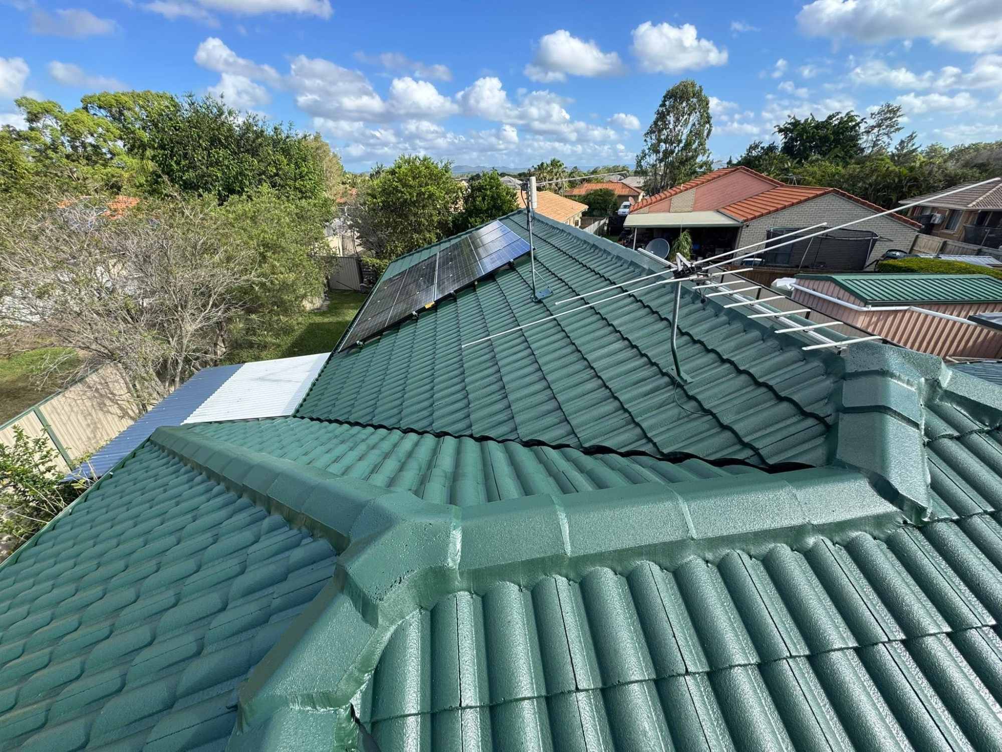 Roofing and painting project