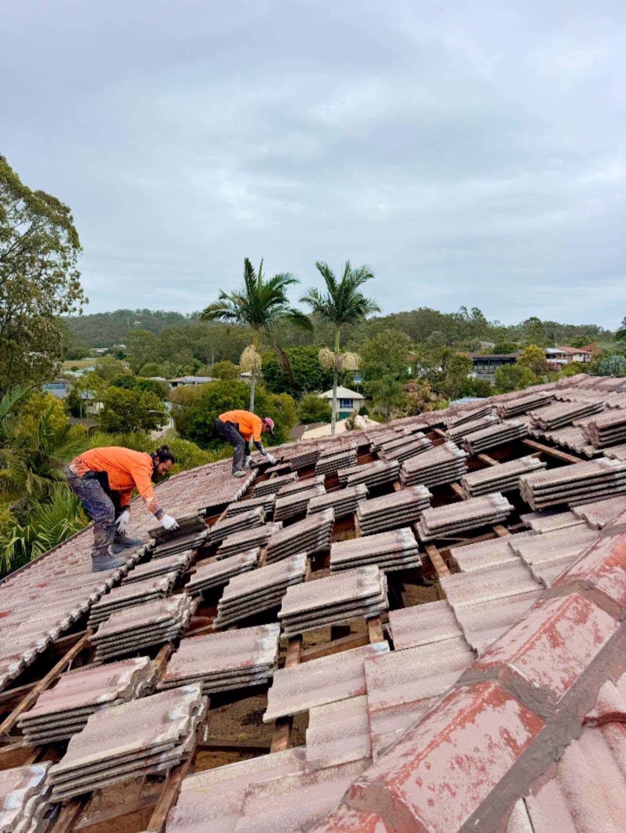 Roofing and painting project