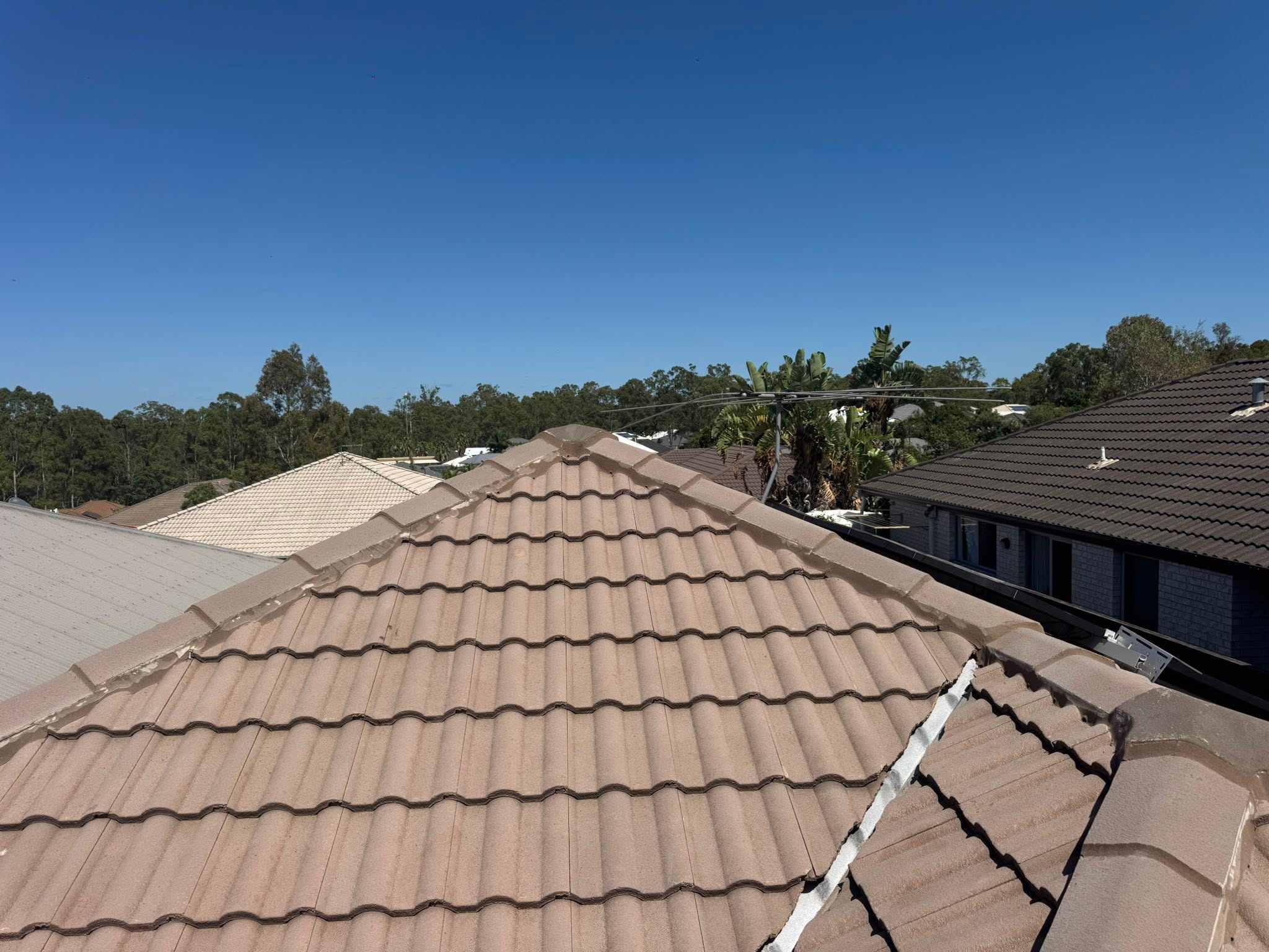 Roofing and painting project