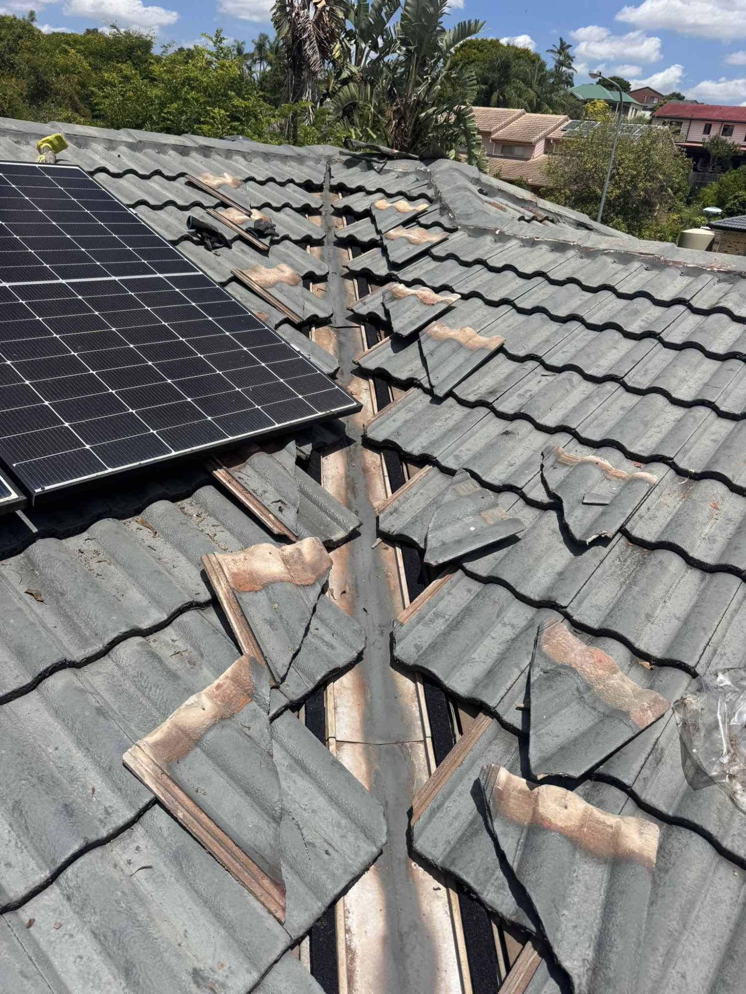 Roofing and painting project