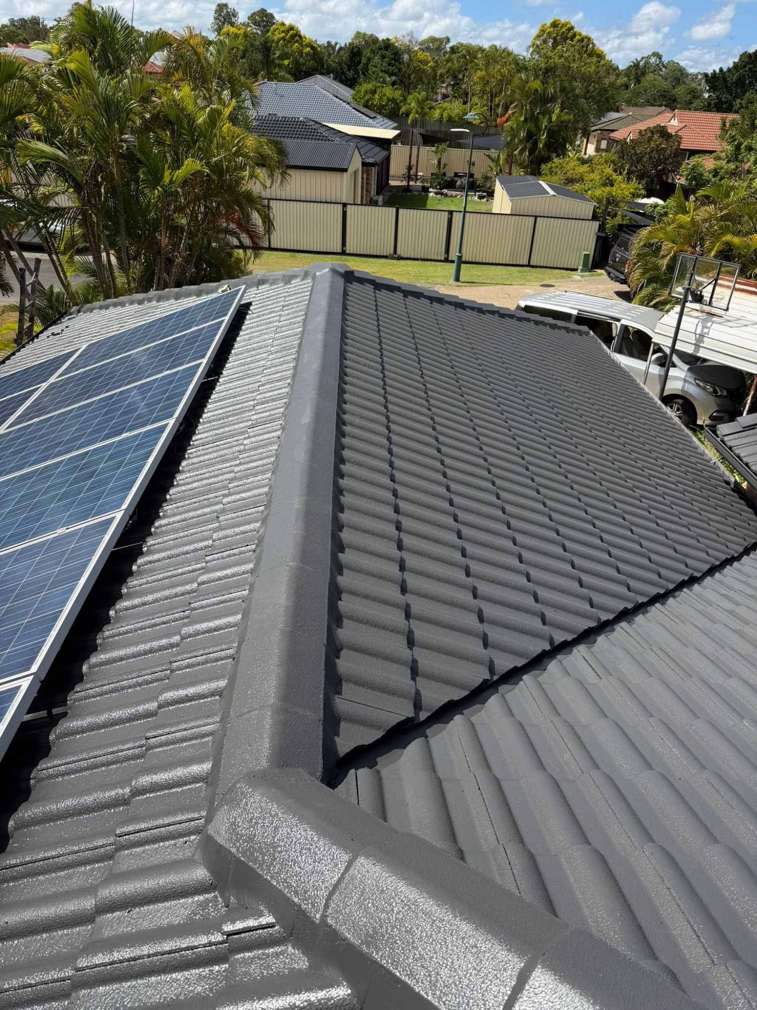 Roofing and painting project