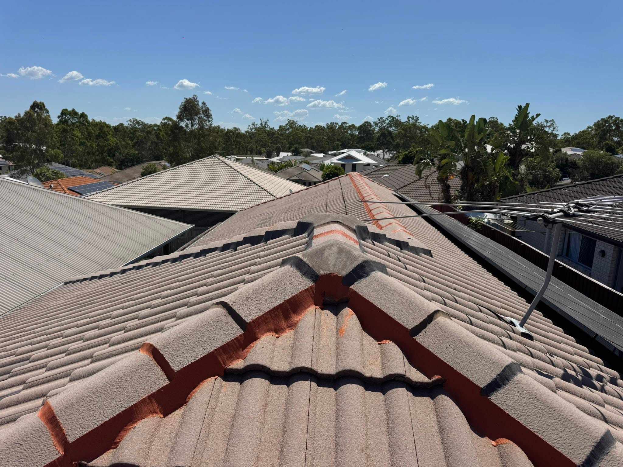 Roofing and painting project